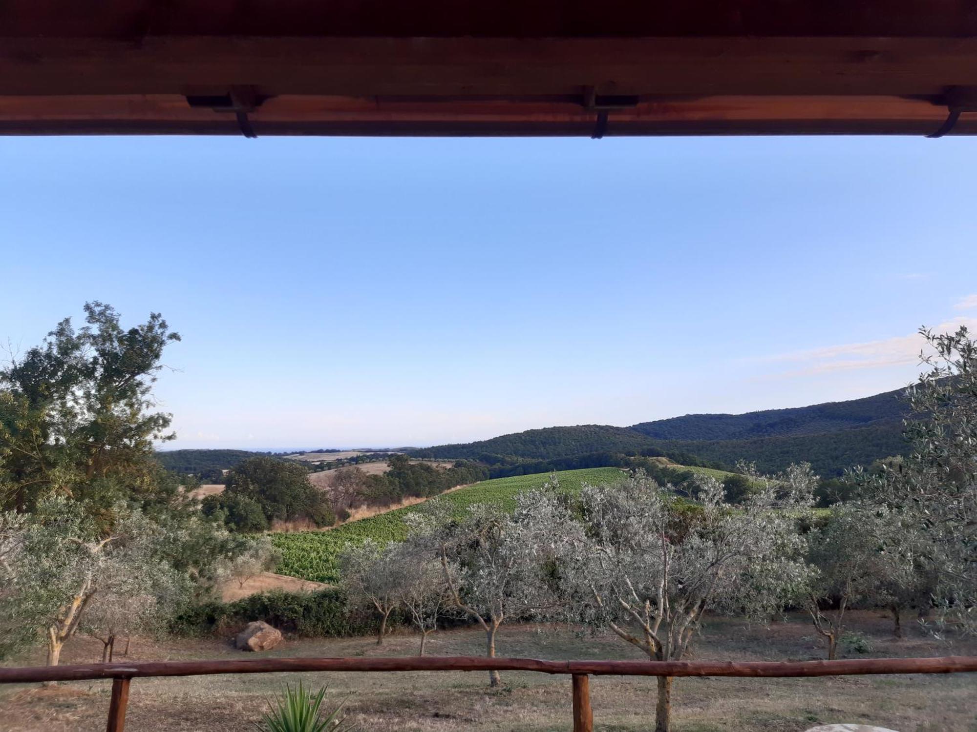 Agriturismo Colleverde Capalbio Cameră foto